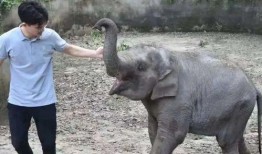 杭州动物园爆料新闻