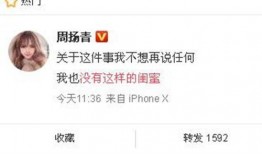 新闻爆料何丹彤,揭秘背后惊人真相